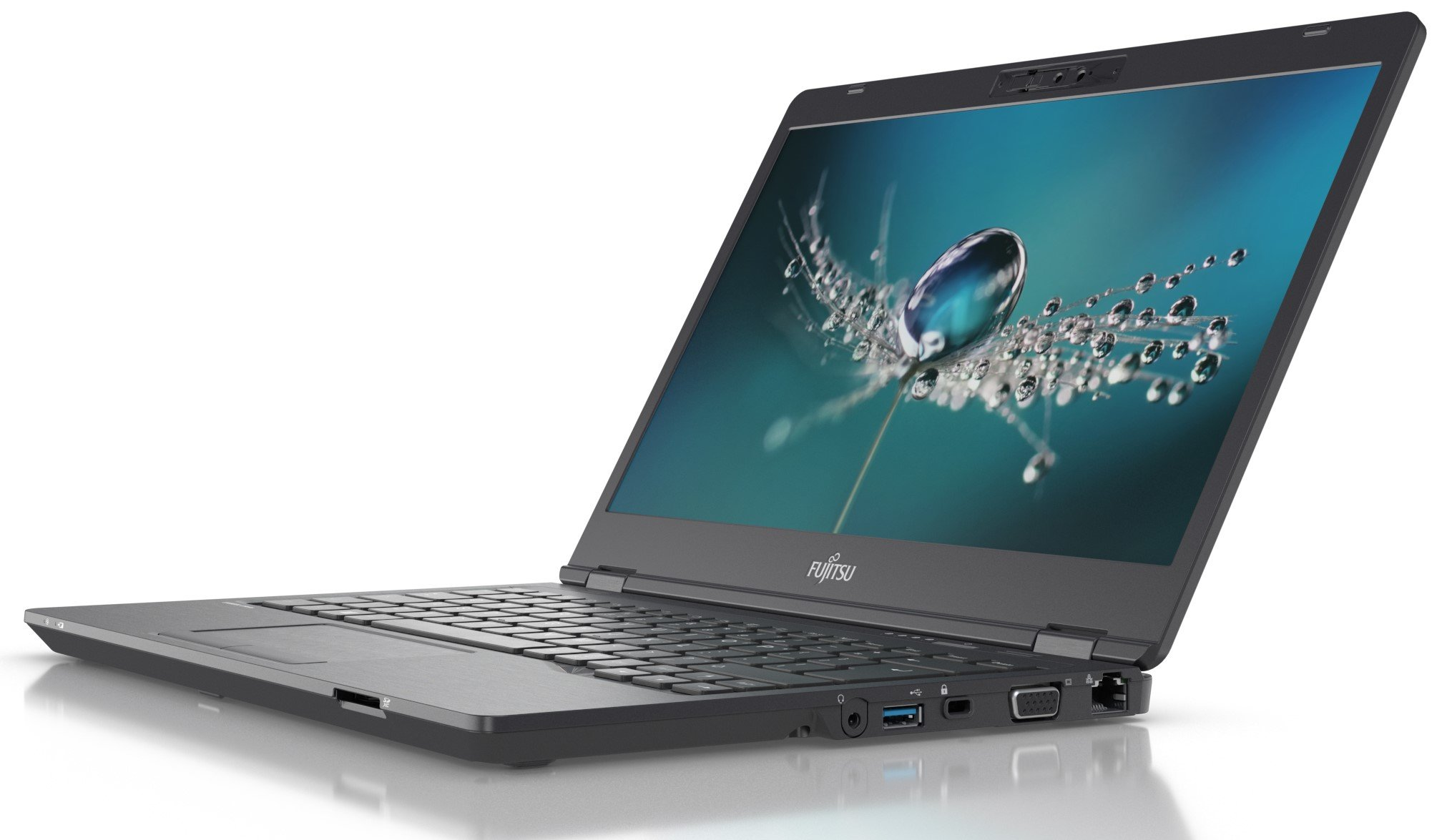 Ein offener schwarzer Fujitsu Laptop mit einem Desktop-Hintergrund mit Wassertropfen auf einer Pusteblume.