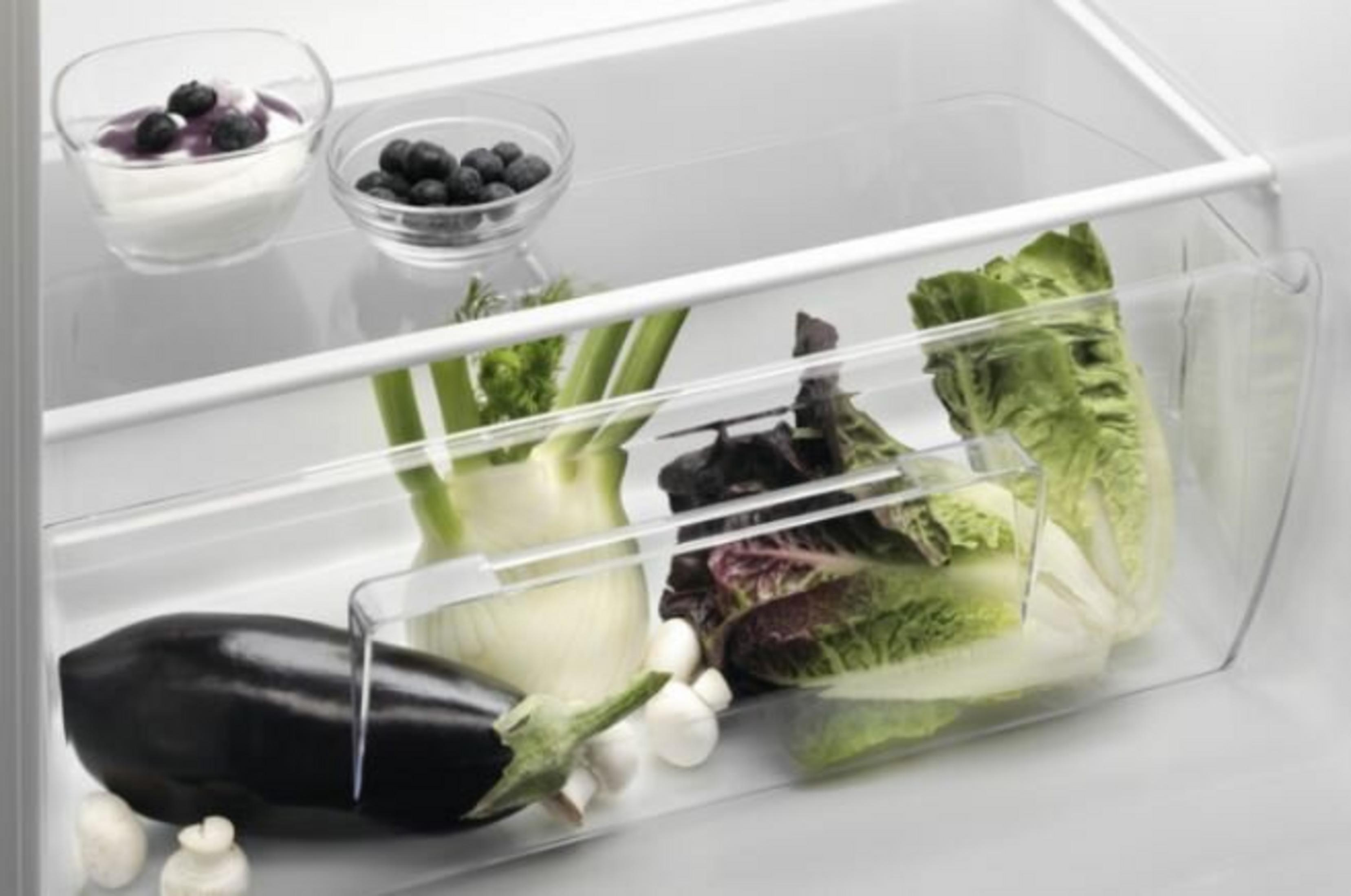 Ein großer dunkler Aubergine liegt neben Pilzen und Salat in einer Kühlschublade.