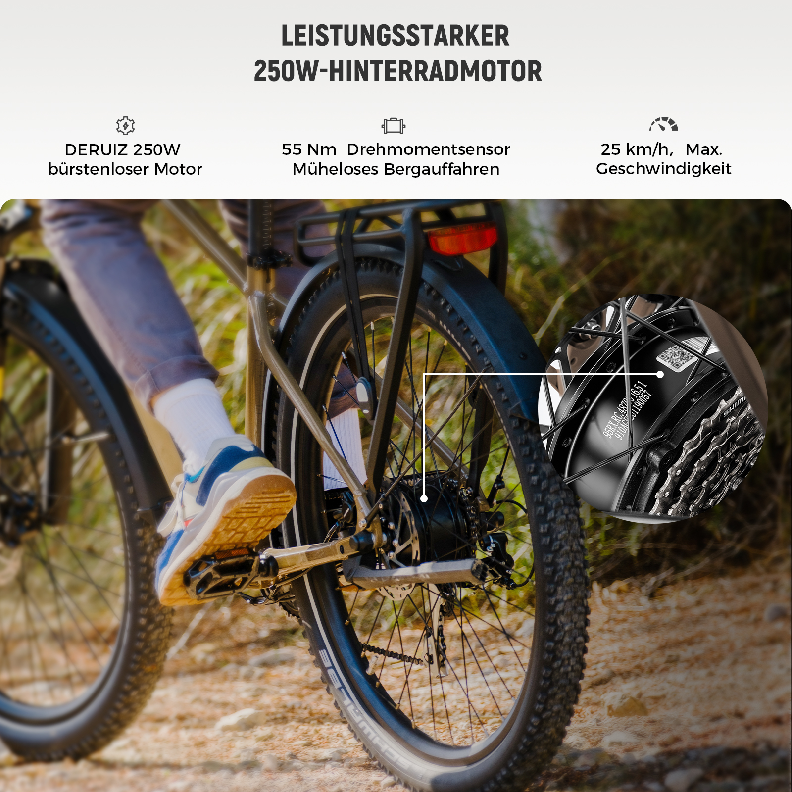 Fahrrad mit 250W-Motor, 55 Nm Drehmoment, 25 km/h Max-Geschwindigkeit.