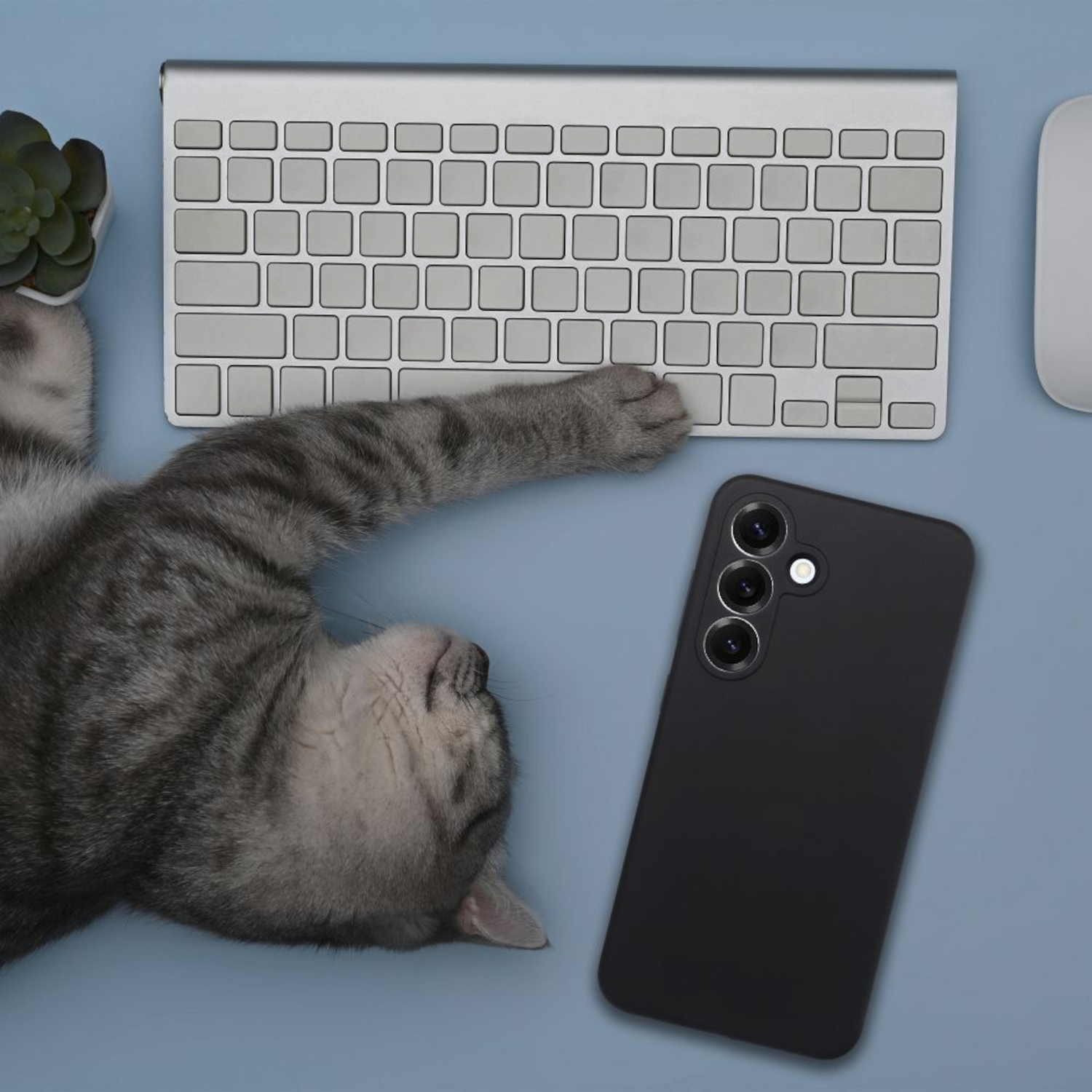 Graue Katze liegt auf einem Schreibtisch neben Tastatur, Maus und Handy.