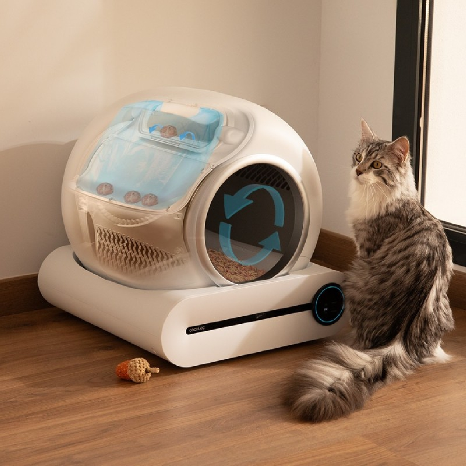 Un gato esponjoso se sienta junto a una caja de arena automática blanca con tapa transparente.