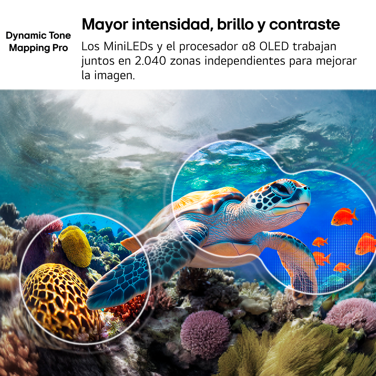 Una tortuga marina nada en un arrecife de coral con peces de colores.