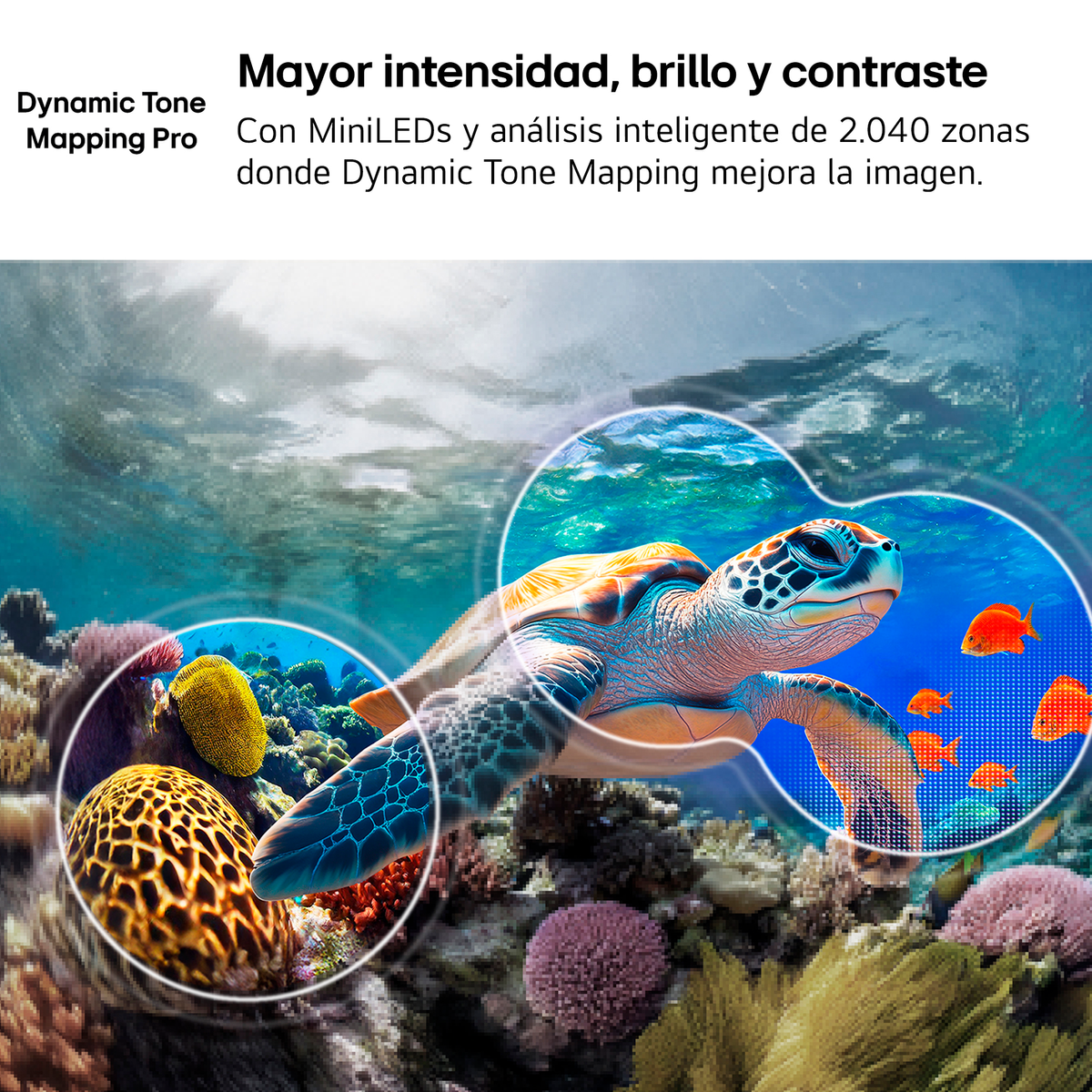 Una tartaruga marina nuota su una barriera corallina con pesci colorati.
