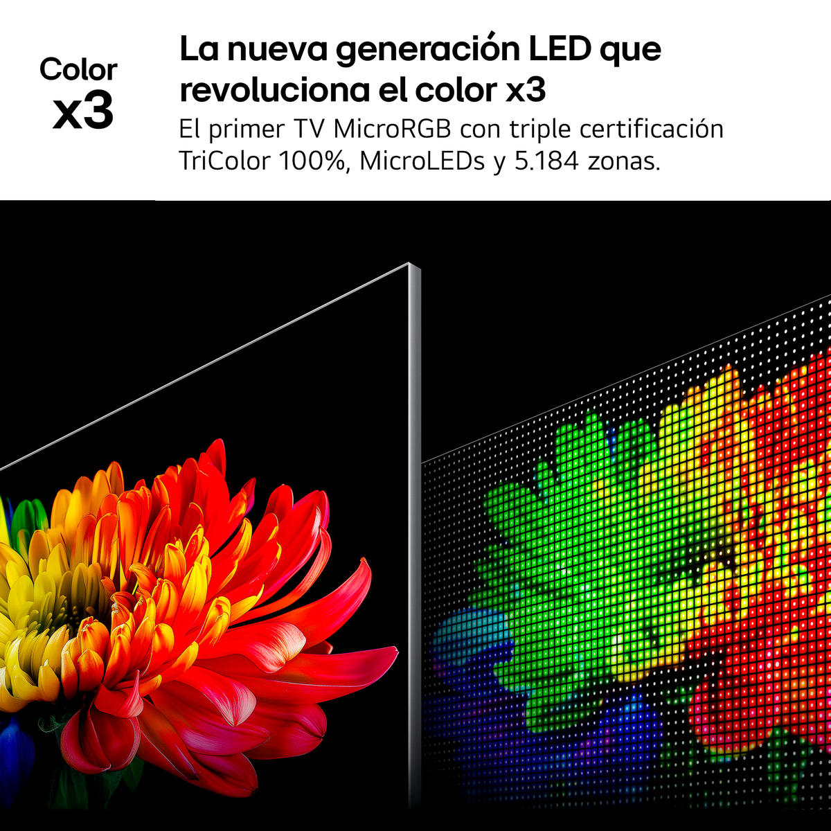 Una testa di fiore vibrante e un display pixelato accanto.
