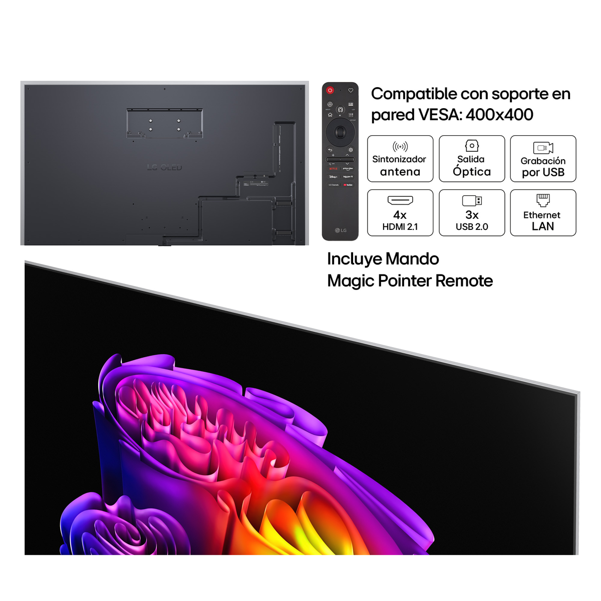 Retro TV LG OLED con porte, telecomando e icone per supporto VESA, sintonizzatore, uscita ottica, registrazione USB, HDMI, USB e LAN.