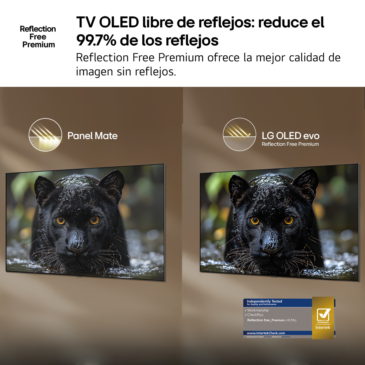 Dos televisores OLED, uno Panel Mate y otro LG OLED evo.