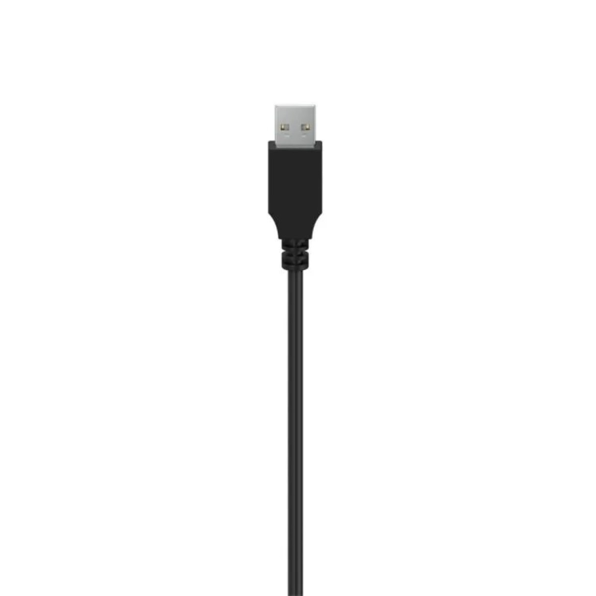 Ein schwarzes USB-Kabel mit einem silbernen Anschluss auf weißem Hintergrund.