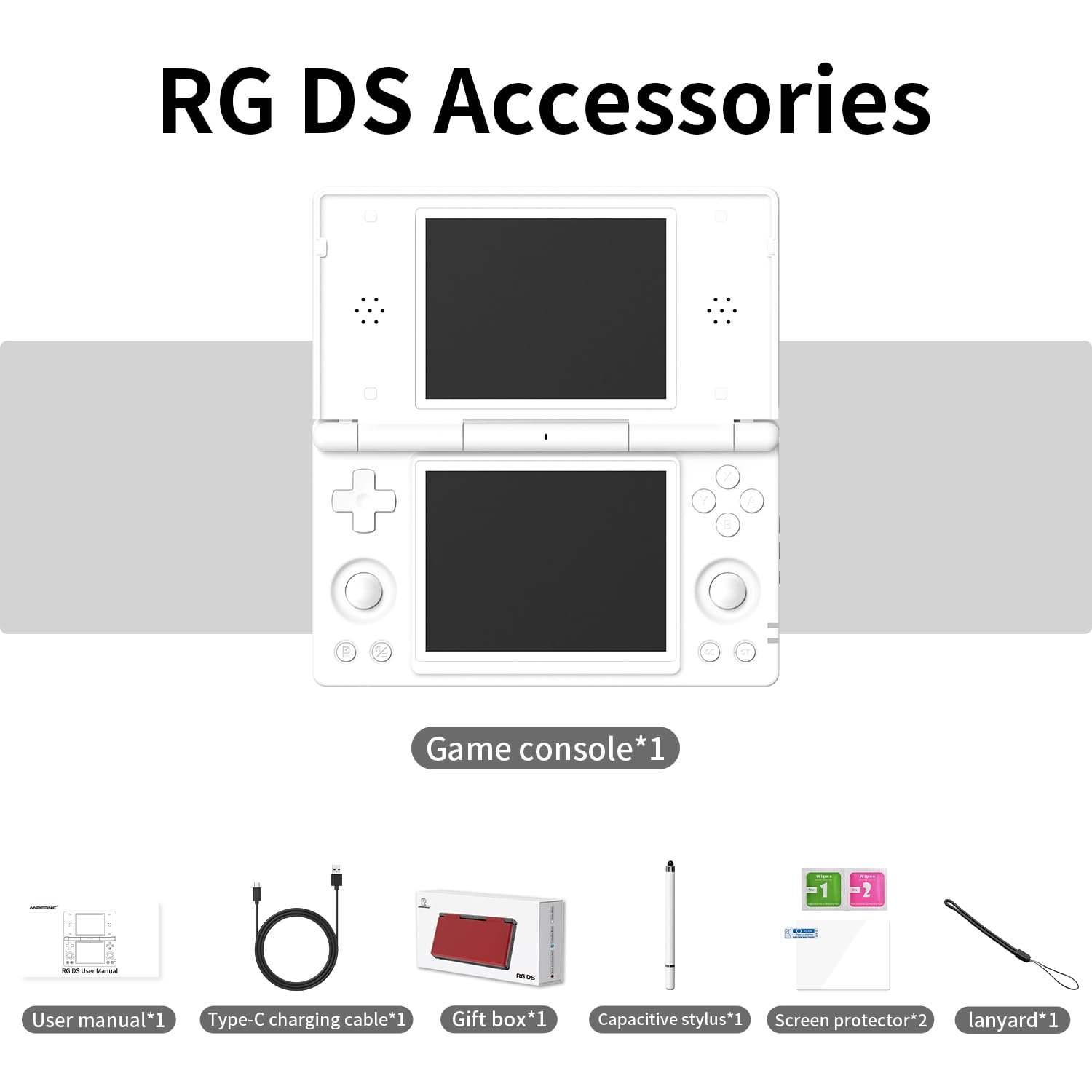 RG DS Accessoires: Console, handleiding, oplaadkabel, stylus, schermprotector, lanyard.