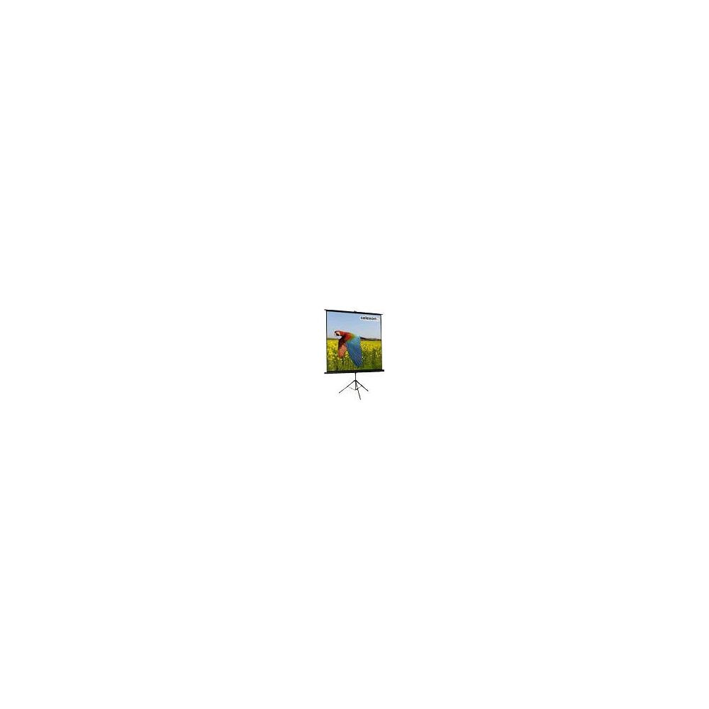 Ein Projektionsschirm mit einem Papagei auf einem Feld mit gelben Blumen.