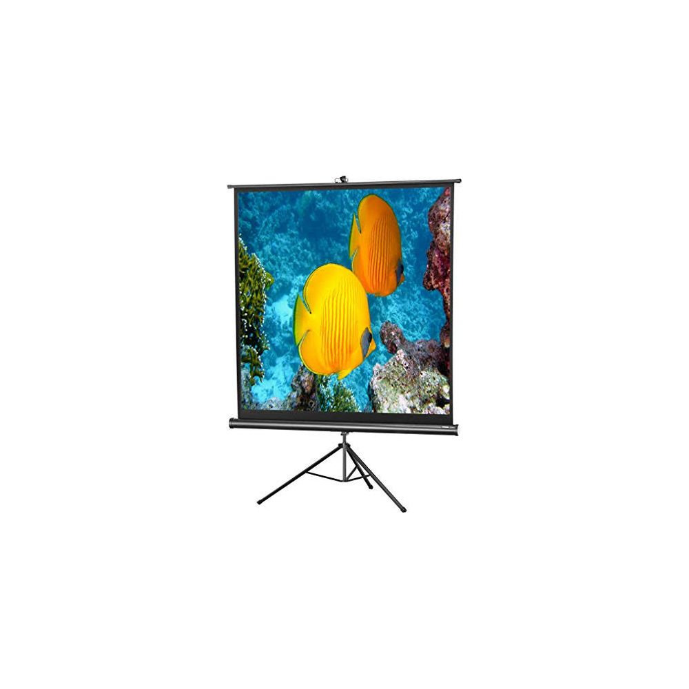Leinwand mit zwei gelben Fischen vor Korallenriff.