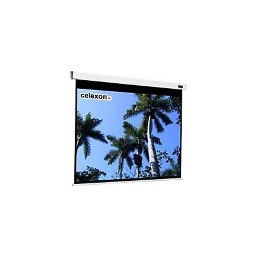 Eine Leinwand mit dem Celexon-Logo zeigt Palmen und blauen Himmel.