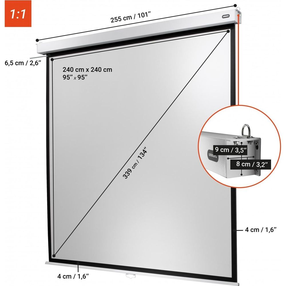 Leinwand mit Maßen 255cm Breite, 240x240cm Bildfläche, 339cm Diagonale.