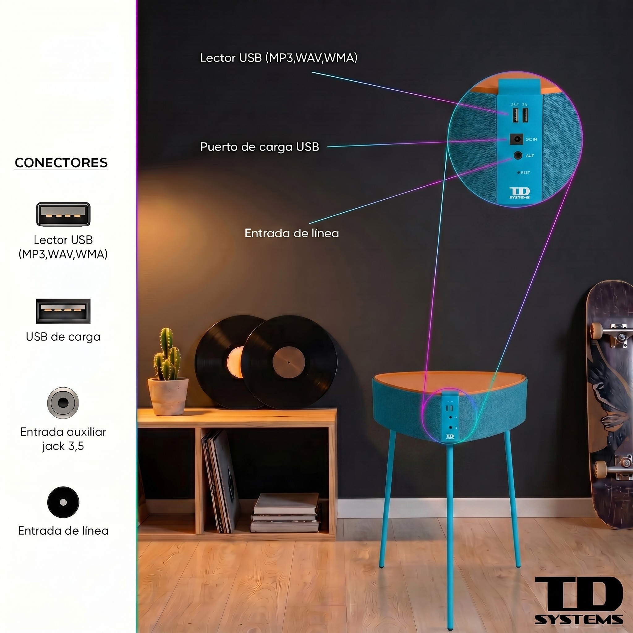 Dispositivo con puertos: USB, carga, AUX, línea-in. Decorado con discos, cactus, monopatín.