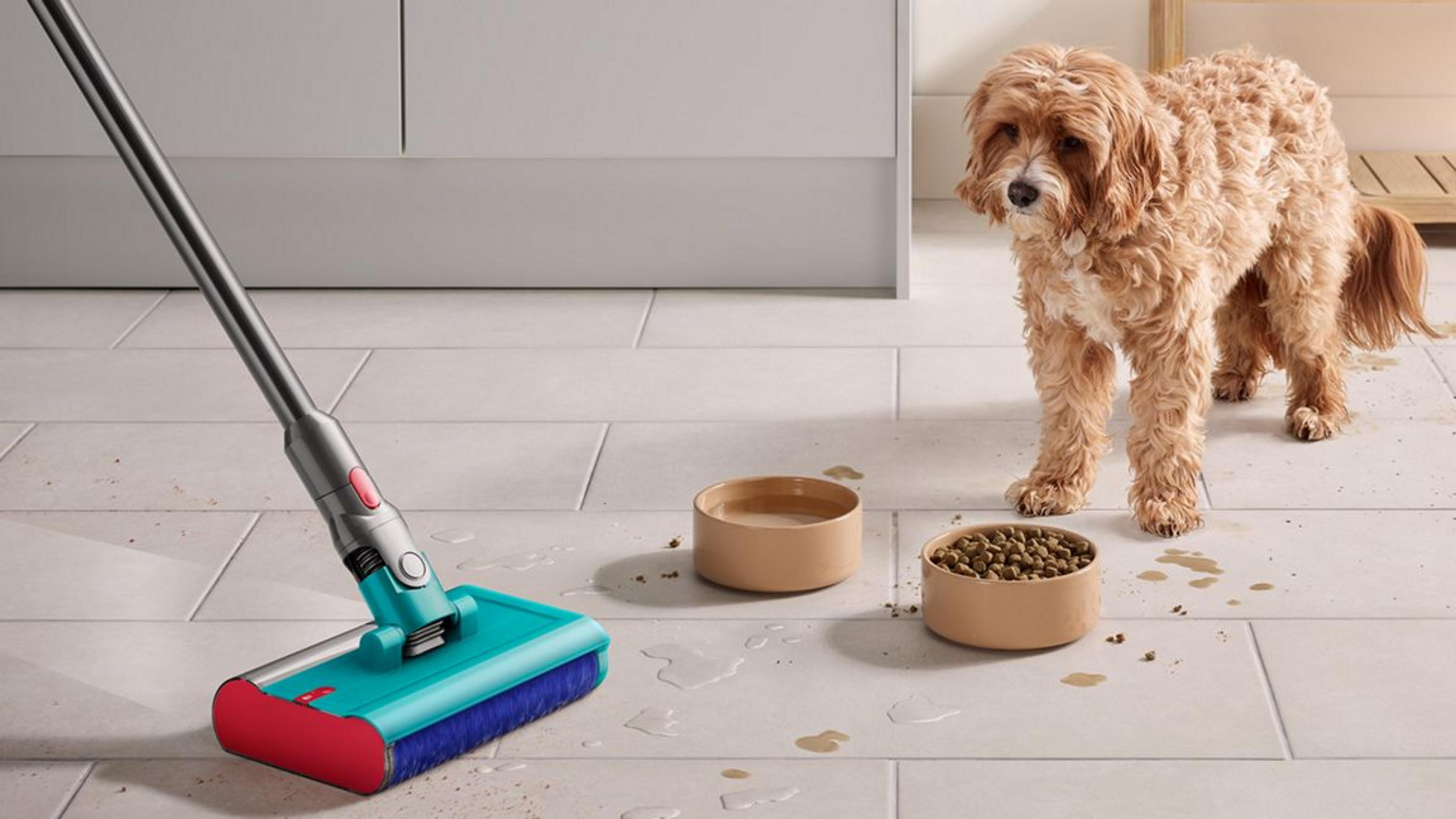 Un cane accanto a una ciotola di cibo disordinata mentre un aspirapolvere pulisce il pavimento.