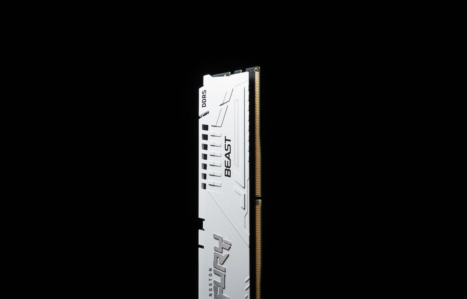 Ein weißer DDR5 RAM-Riegel mit der Aufschrift 'BEAST' und 'FURY' auf schwarzem Hintergrund.