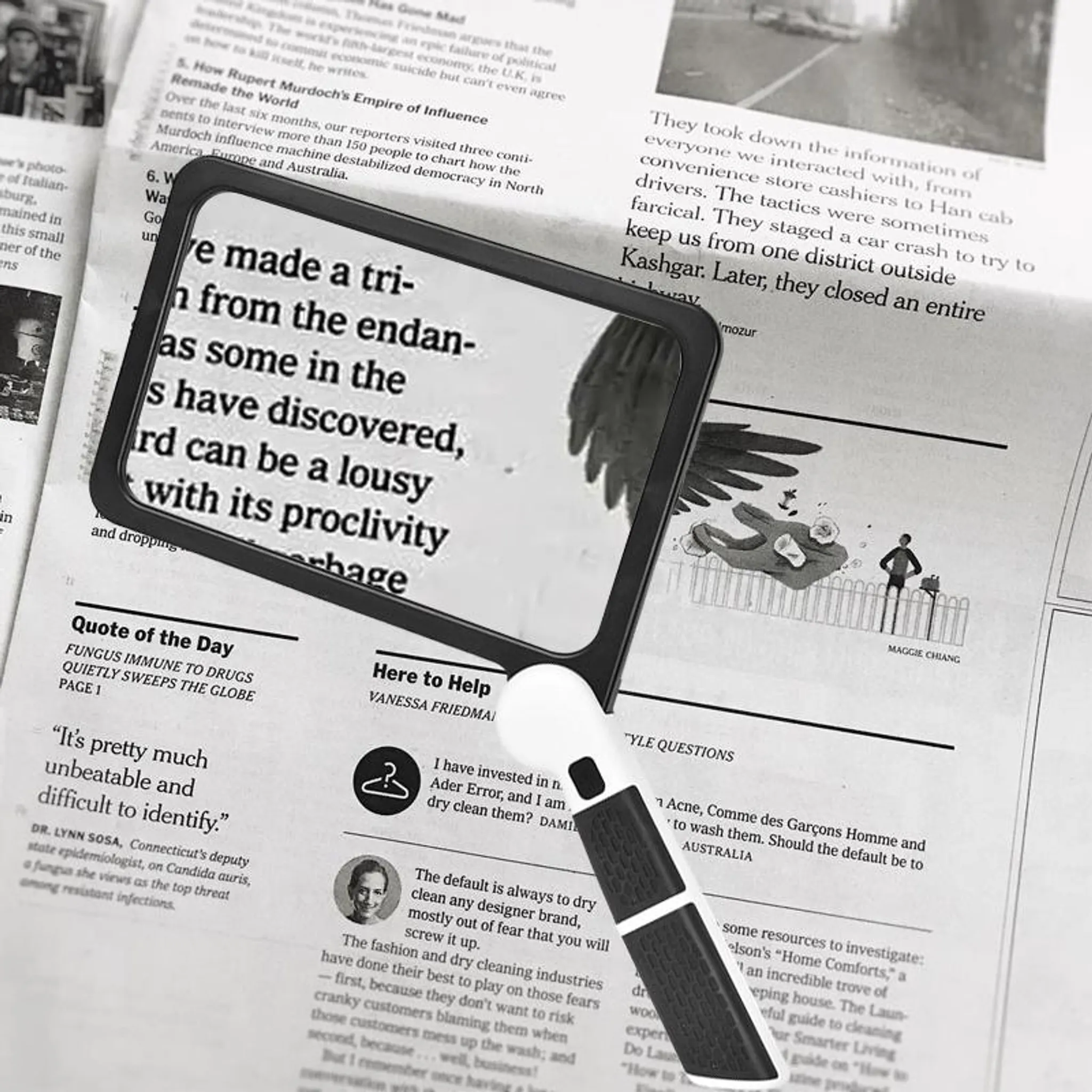 Lupe über Zeitungsartikel mit Schlagzeilen und Illustrationen.