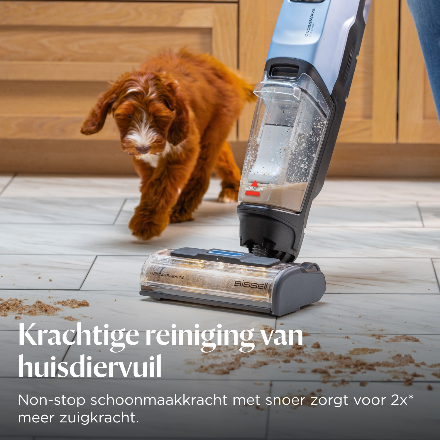 Un chien marron et un aspirateur sur un sol sale.