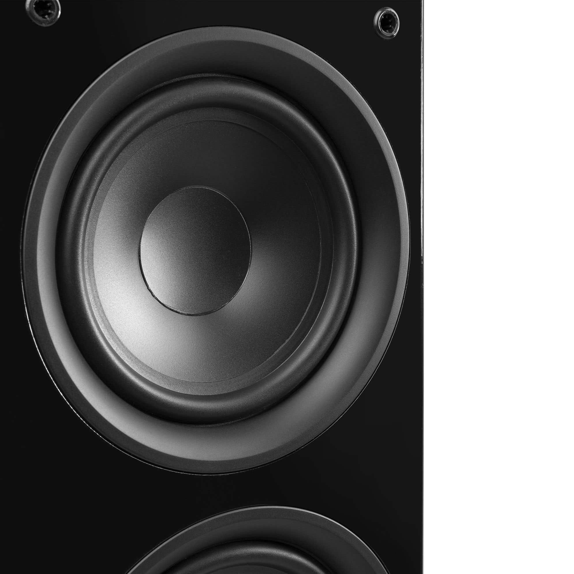 Primer plano de un altavoz negro con dos altavoces. Acabado brillante.