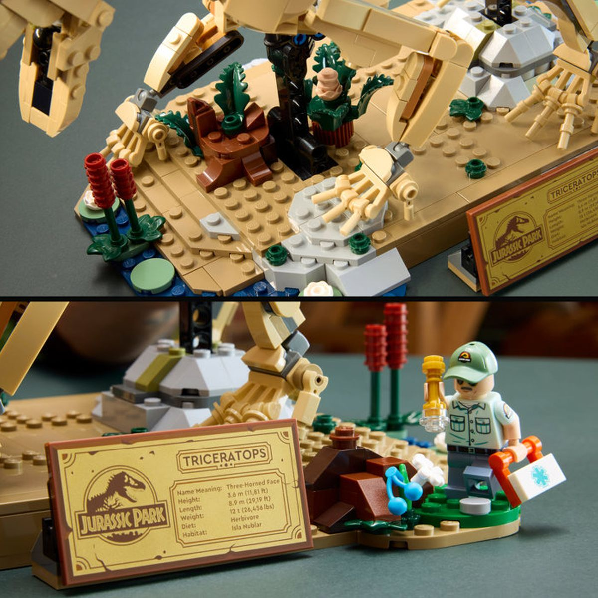 Modello Lego di un Triceratops con dinosauro e ranger.
