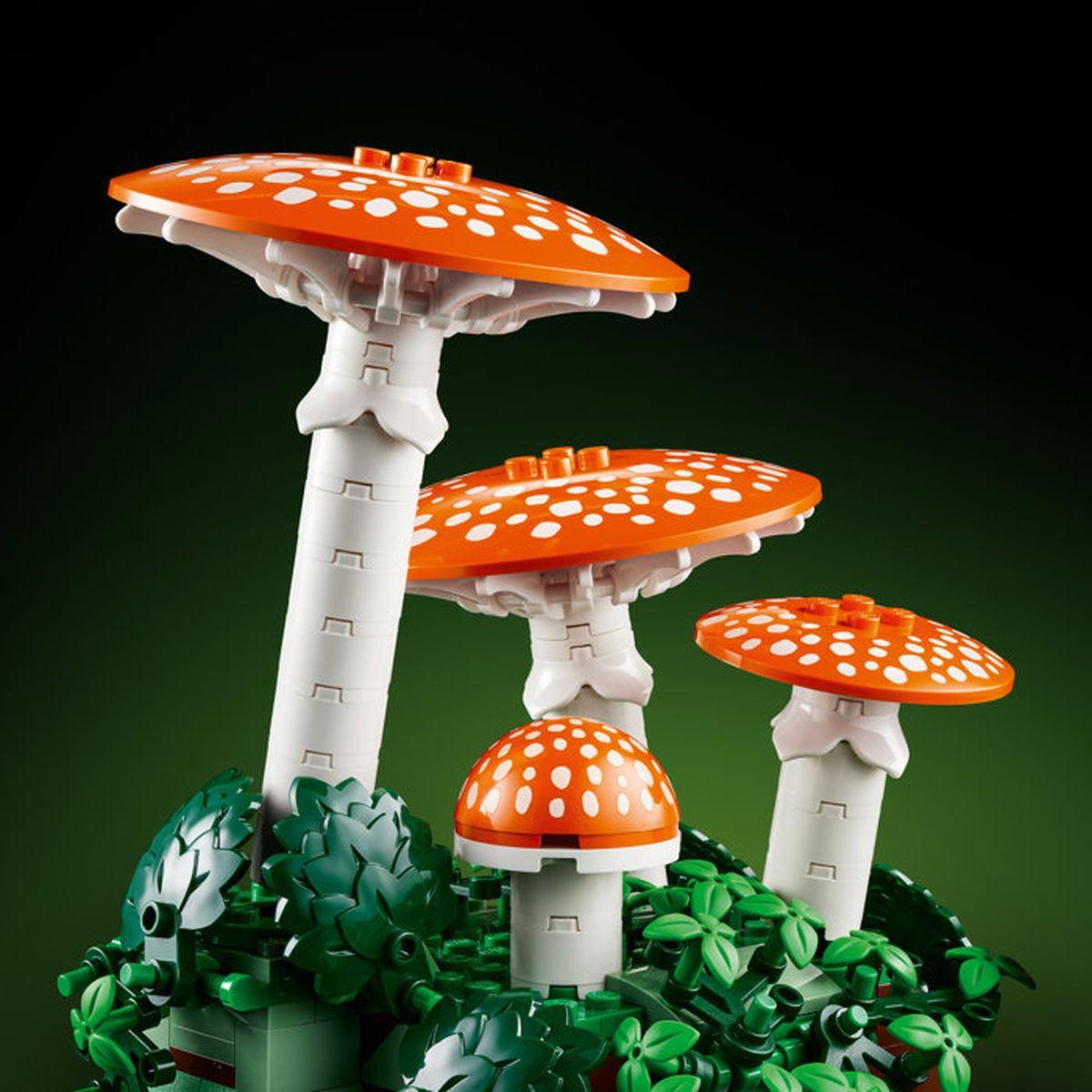 Quattro funghi arancioni con macchie bianche su steli bianchi, circondati da foglie verdi.