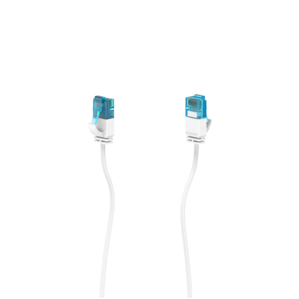 Due cavi di rete bianchi con connettori blu su sfondo bianco.