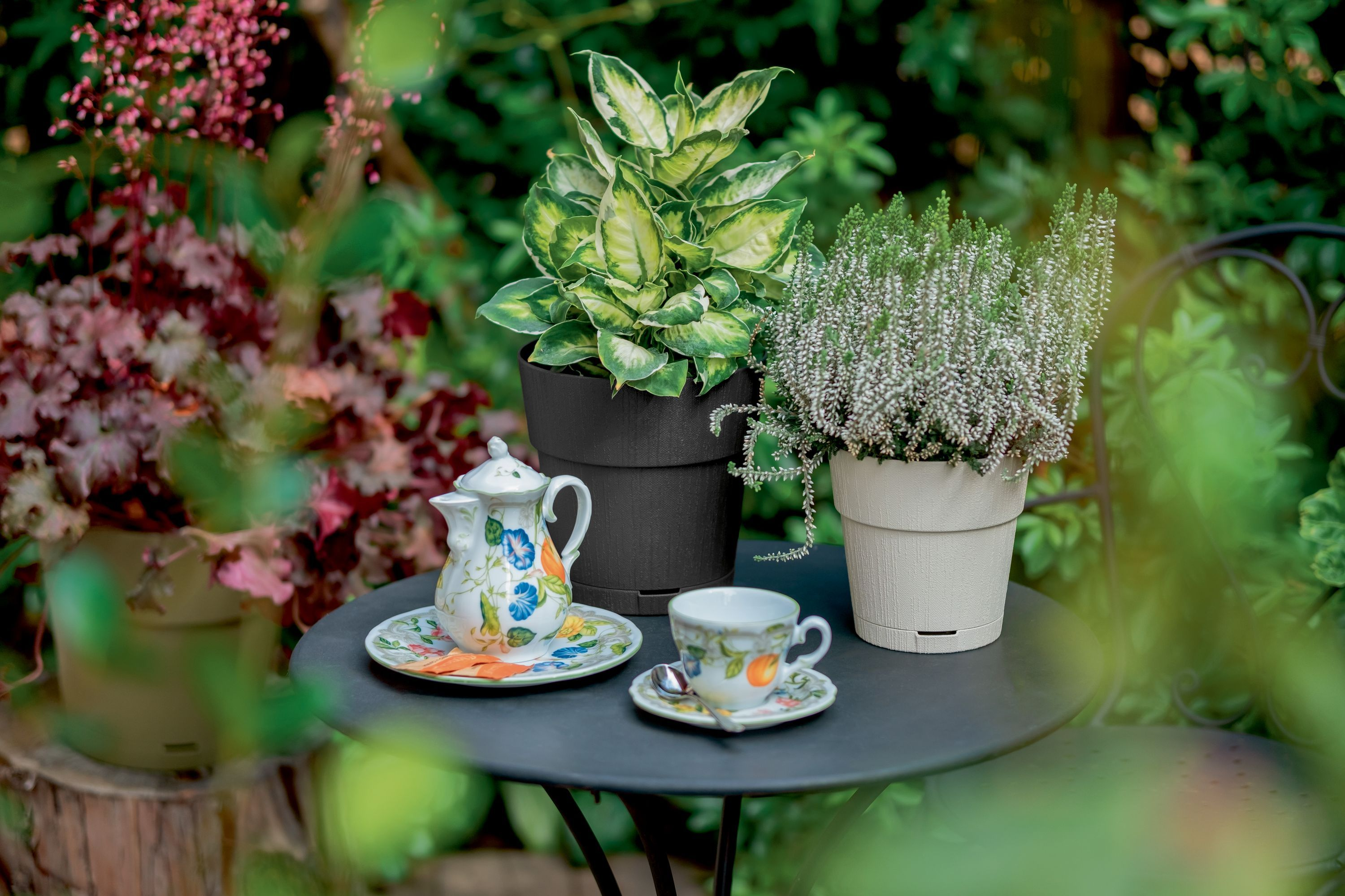 Gartentisch mit Kanne, Tasse, Pflanzen und Blumen.