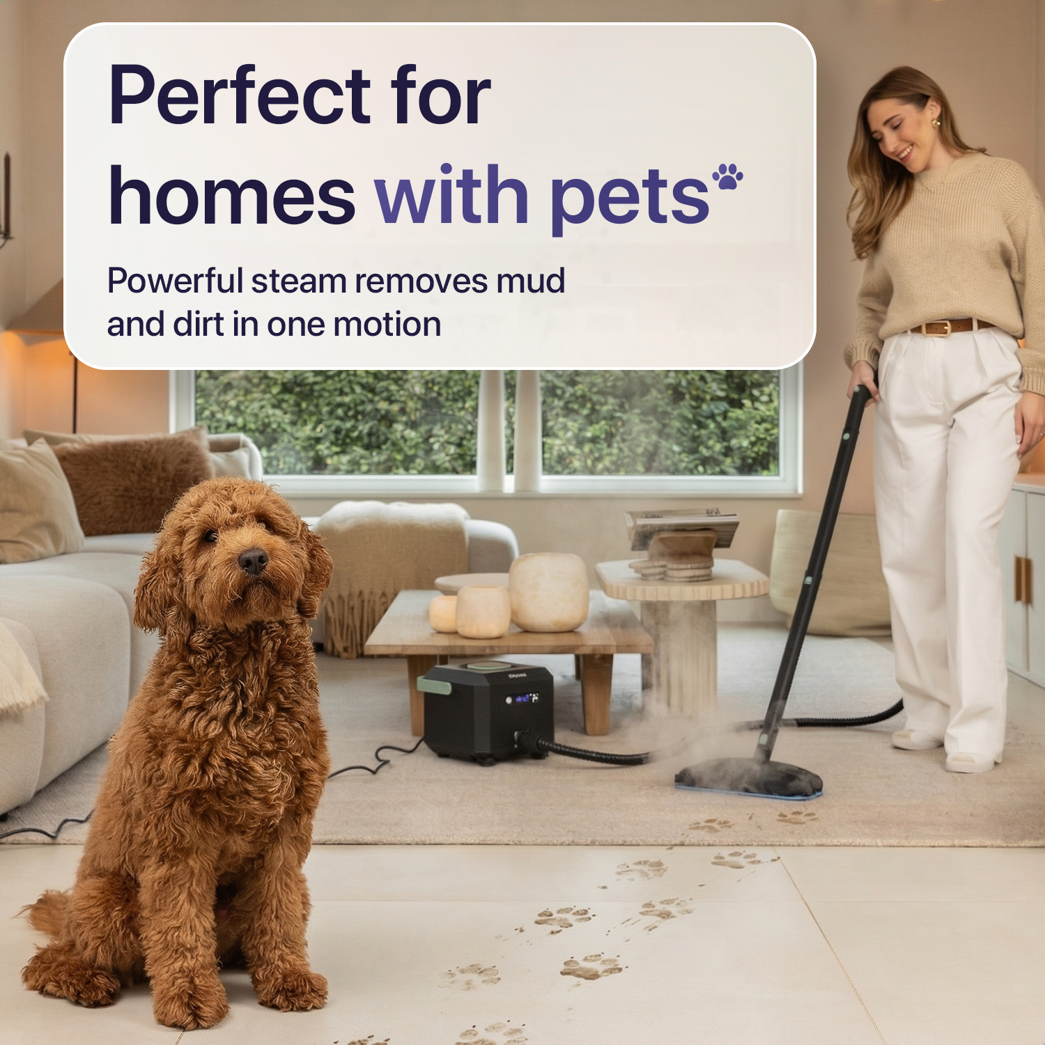 Ein Hund sitzt auf einem gefliesten Boden, auf dem Pfotenabdrücke sind. Eine Frau benutzt einen Dampfreiniger.