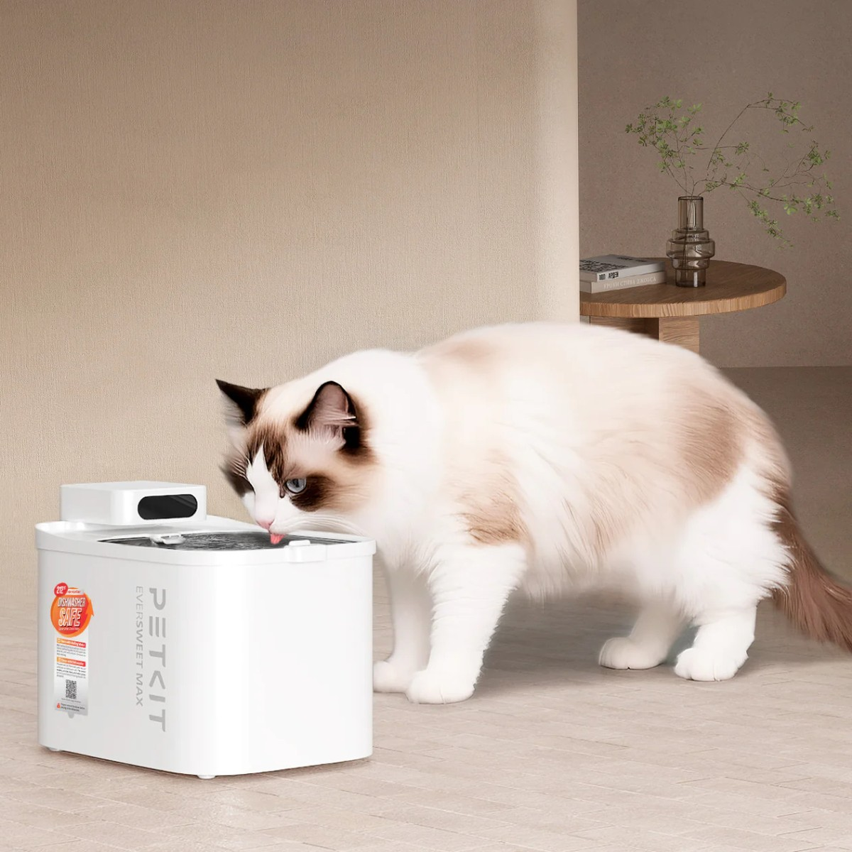 Un soffice gatto bianco e marrone beve da un distributore d'acqua bianco per animali.