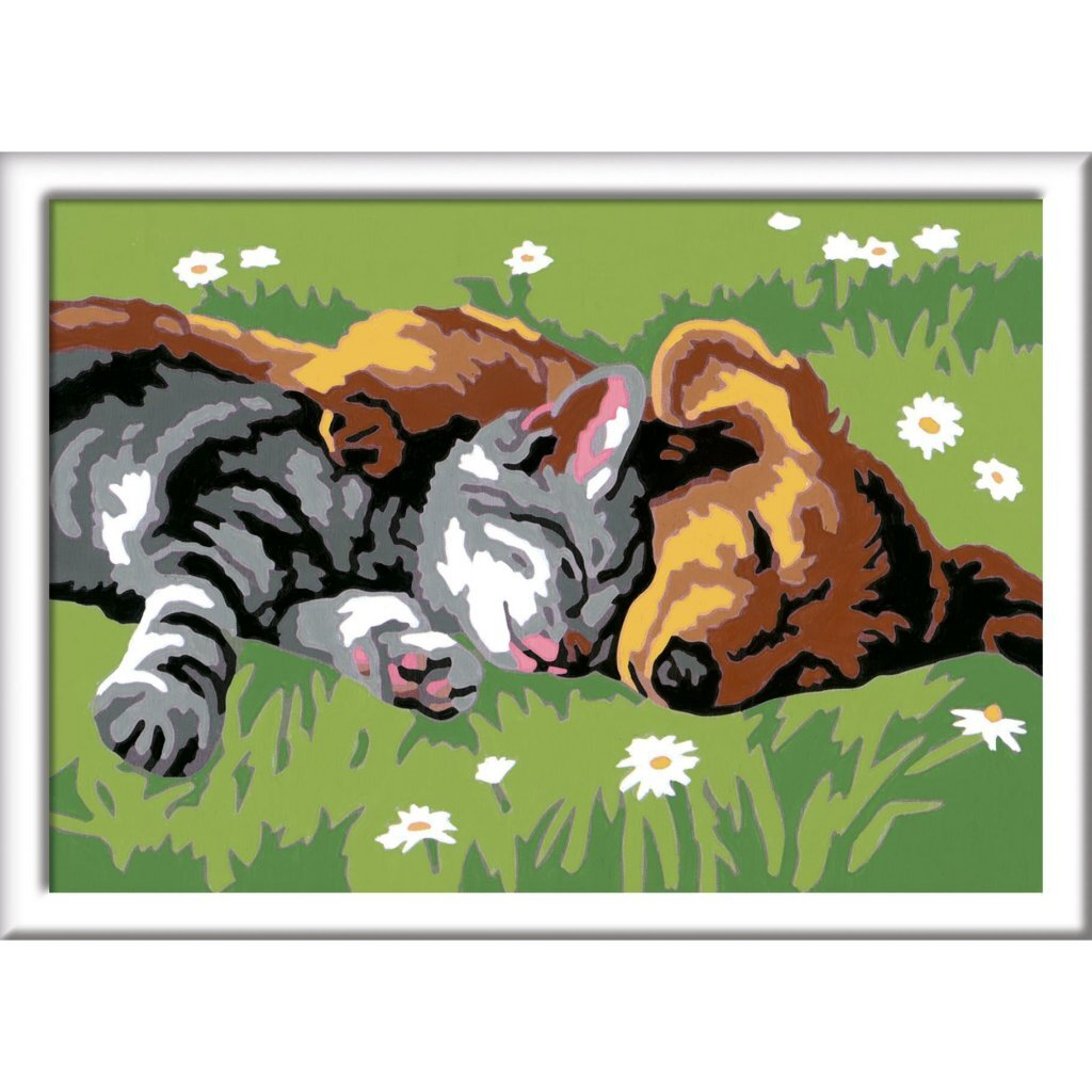 Eine Katze und ein Hund schlafen friedlich nebeneinander auf einer grünen Wiese mit Gänseblümchen.
