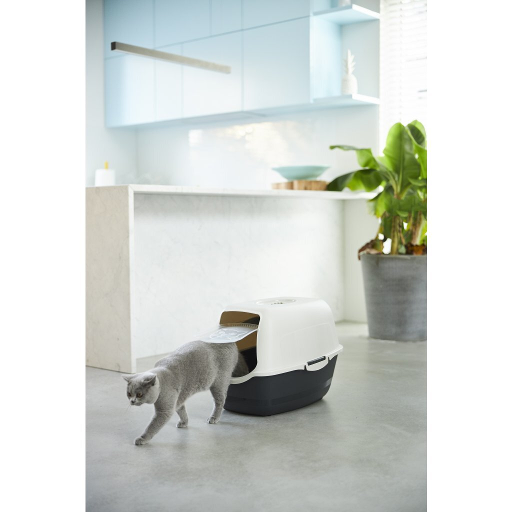 Un gato gris sale de una caja de arena cubierta en una habitación moderna.
