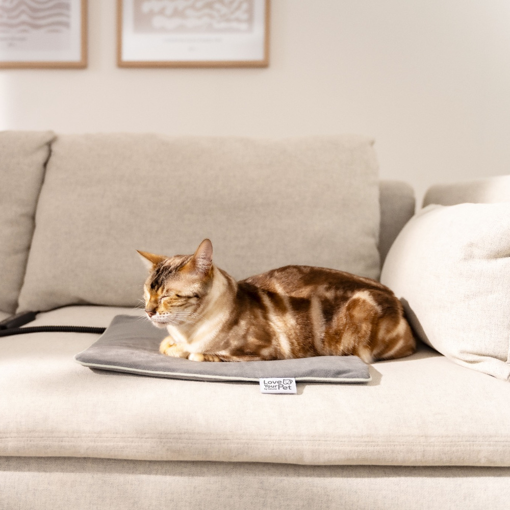 Eine getigerte Katze liegt auf einer grauen Decke auf einem Sofa.