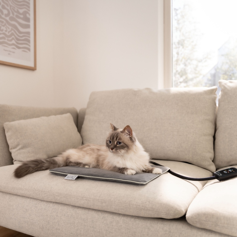 Eine flauschige Katze liegt auf einer Heizmatte auf einem hellen Sofa, mit einem Fenster im Hintergrund.