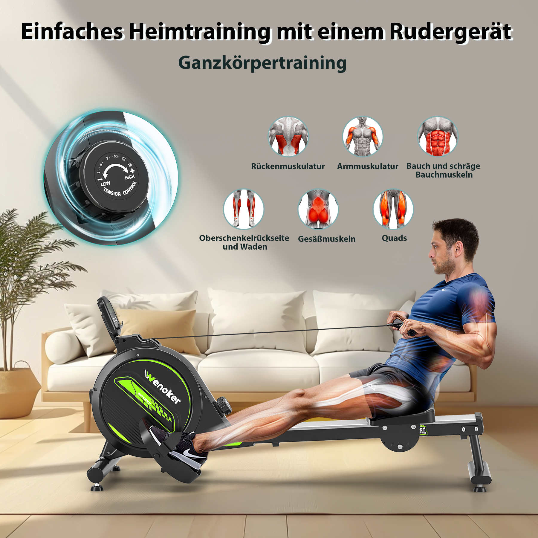 Mann auf Rudergerät, Muskelabbildungen, Spannungseinstellung und Wohnzimmer.