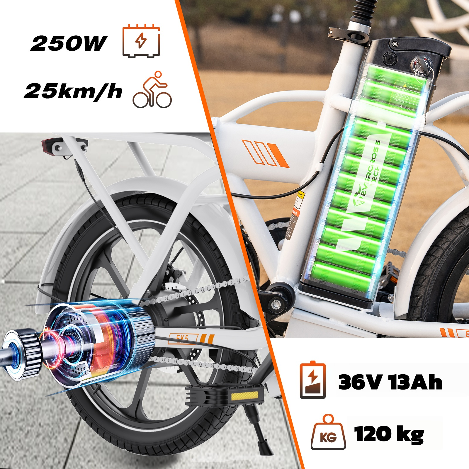 Elektrische fiets met 250W, 25km/h, 36V 13Ah batterij, 120kg.