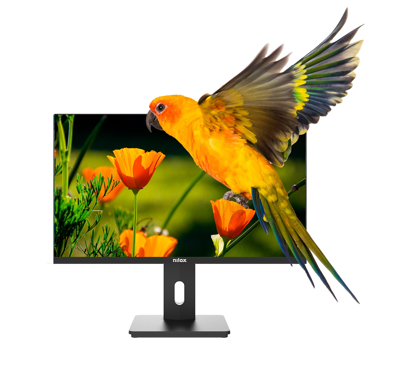 Un pappagallo giallo vola sopra un monitor che mostra fiori arancioni.