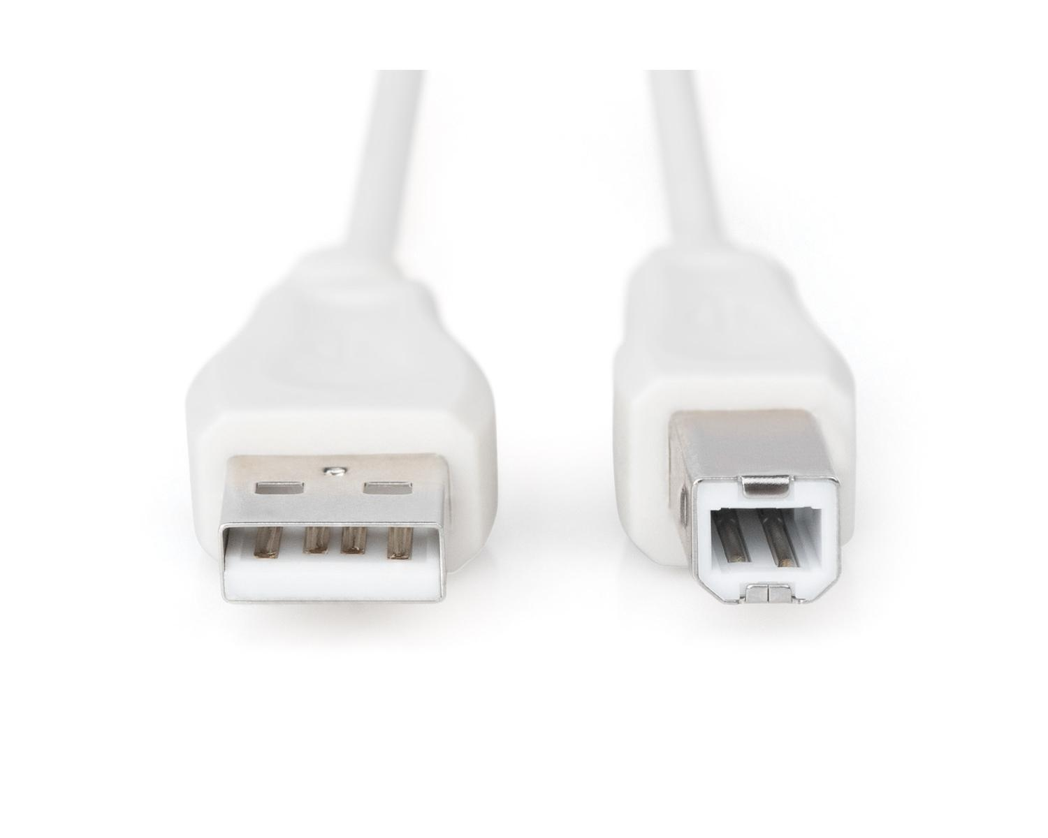 Deux extrémités de câble USB blanches, une USB-A standard, une USB-B.