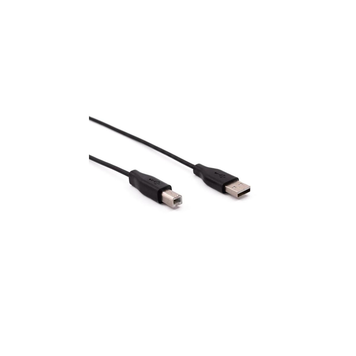 Un cavo USB nero con connettori di tipo A e di tipo B su sfondo bianco.