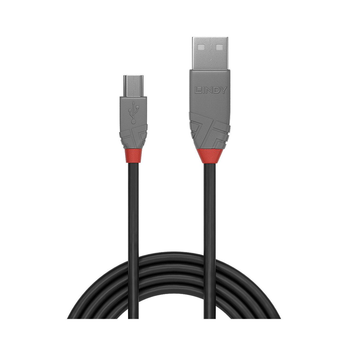 Un cavo da USB-C a USB-A con logo LINDY su sfondo bianco.