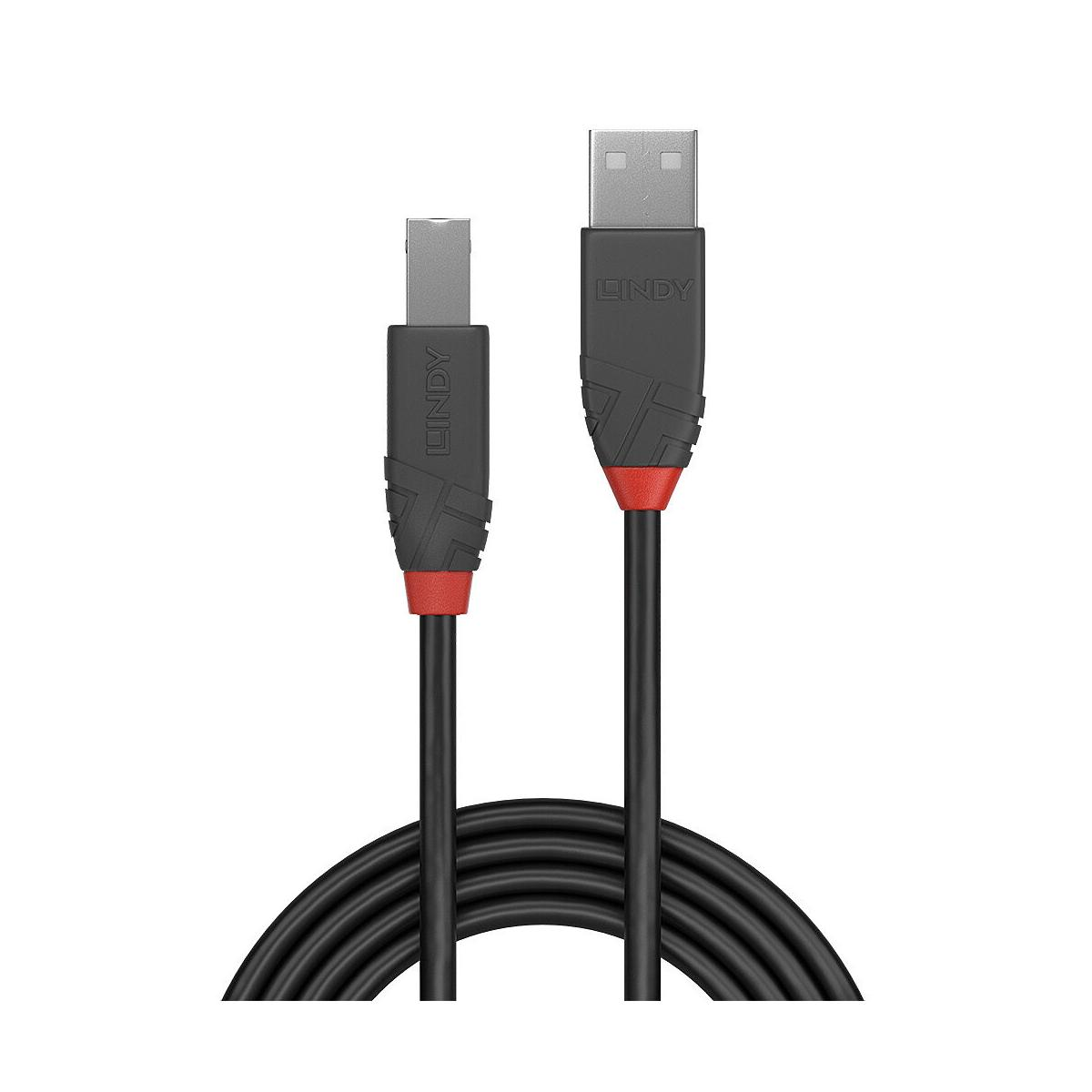 Deux câbles Lindy noirs avec accents rouges et connecteurs USB-A et USB-B.
