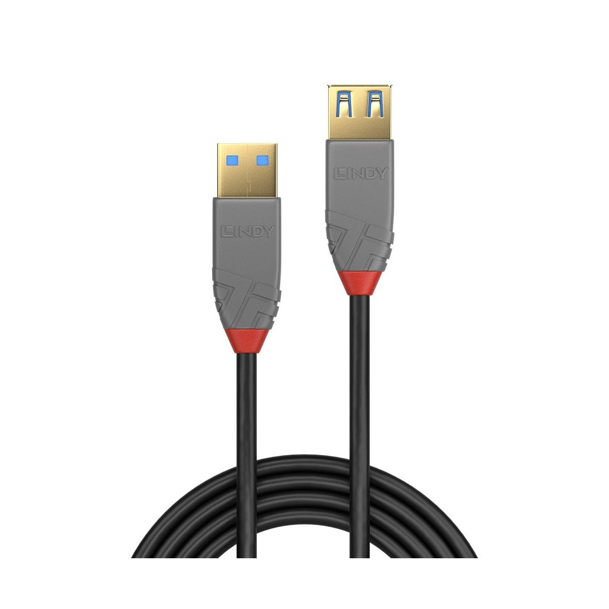 Due cavi USB Lindy con accenti rossi e cavi neri giacciono sul pavimento.