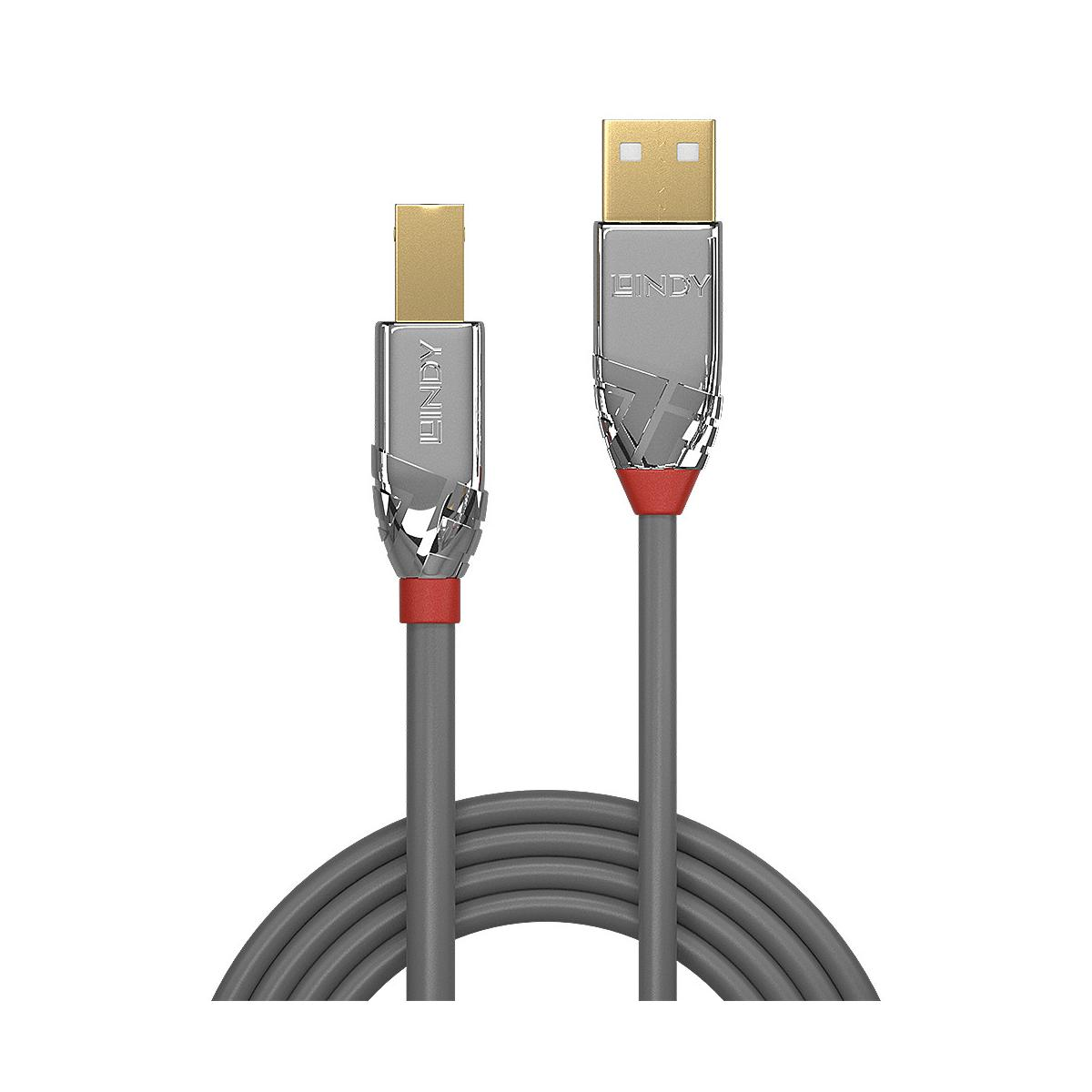 Deux câbles USB gris avec connecteurs argentés et accents rouges.