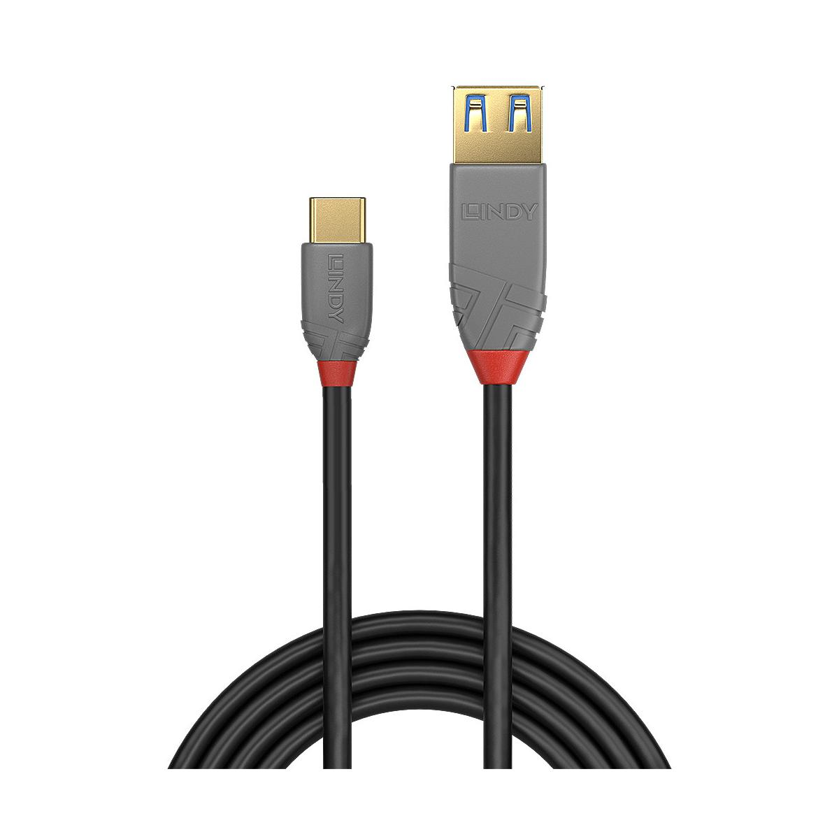 Two Lindy USB cables with gold and blue connectors on a white background.