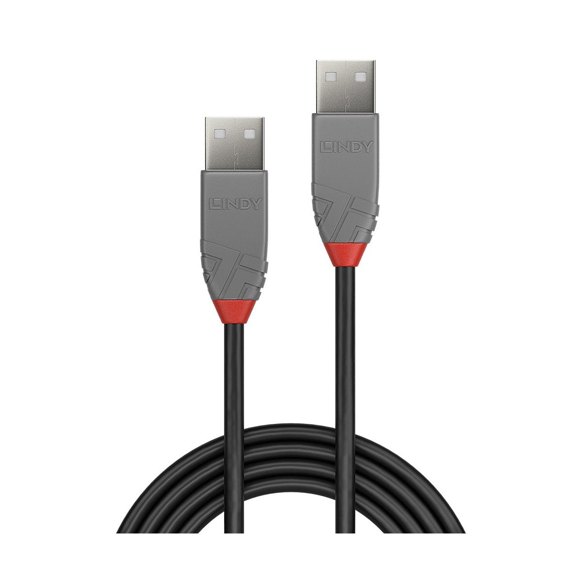 Deux câbles USB Lindy noirs avec connecteurs gris et accents rouges.