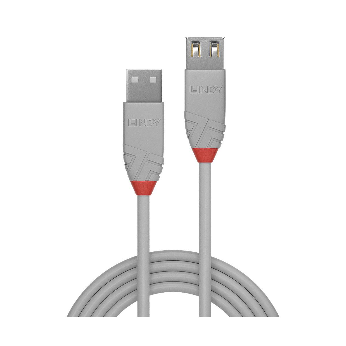 Câble USB gris avec accents rouges et logo Lindy sur les deux connecteurs.