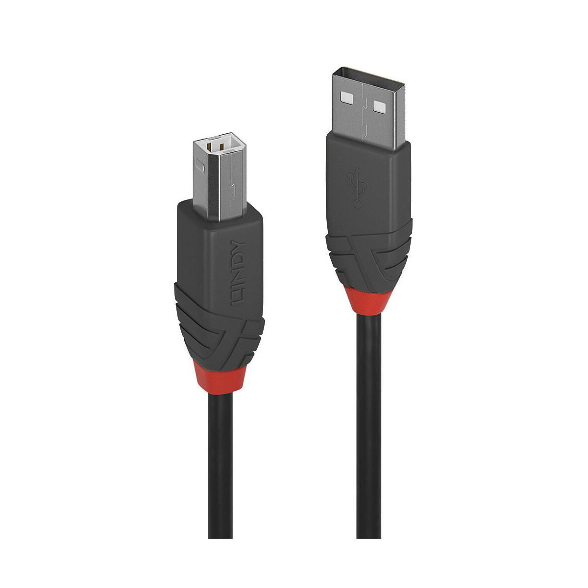 Een zwarte USB-kabel met rode accenten en LINDY-logo.