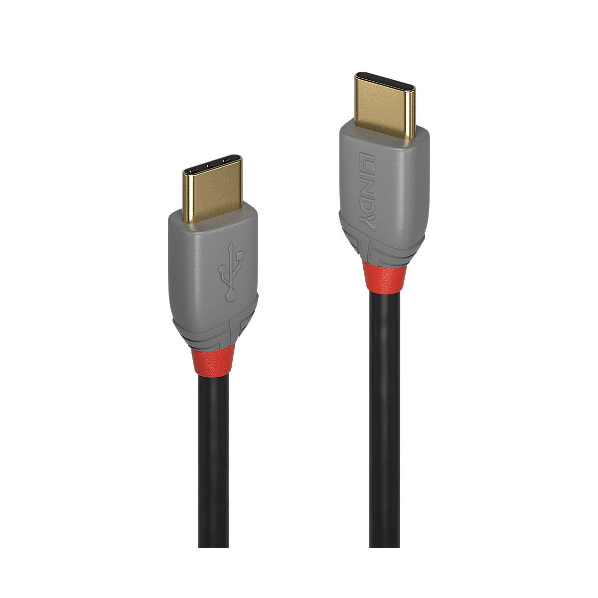 Deux câbles USB-C avec connecteurs dorés et fiches grises.