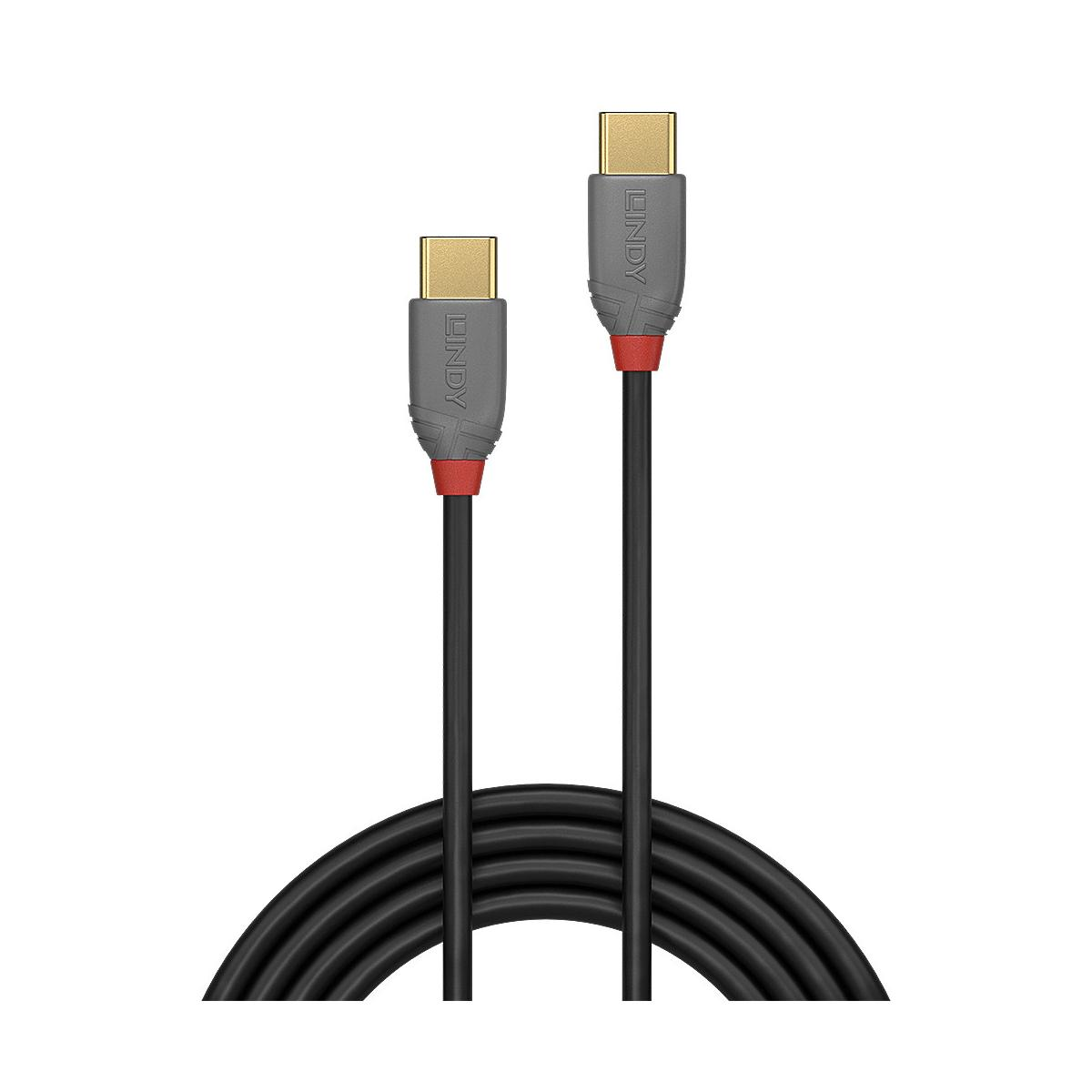 Deux câbles LINDY noirs avec connecteurs USB-C et accents rouges sur fond blanc.