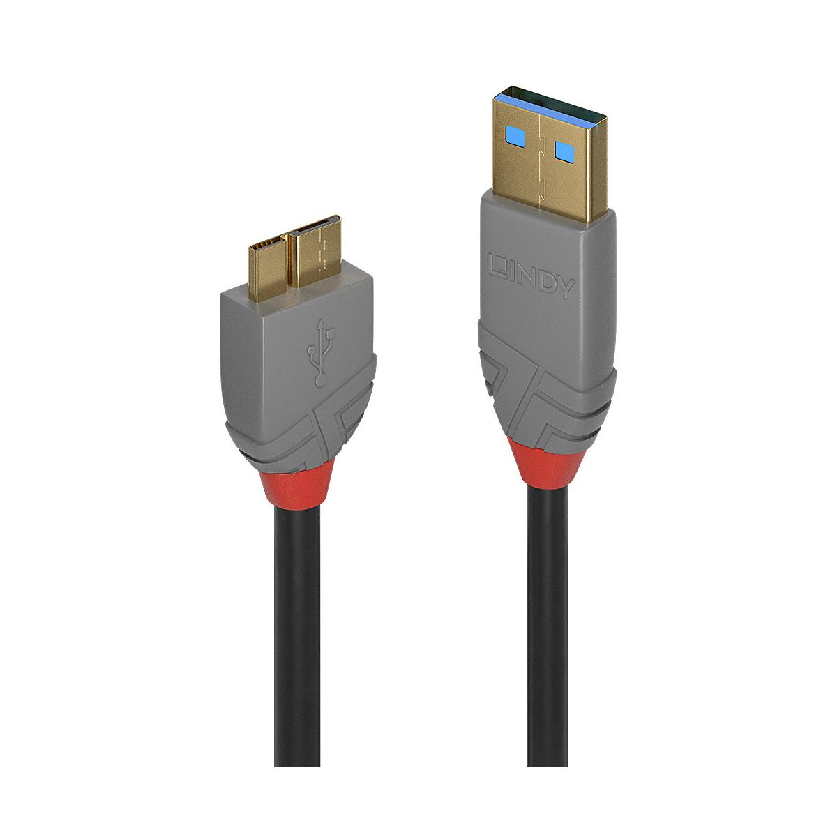 Deux extrémités de câble USB avec connecteurs gris, broches dorées et accents rouges.