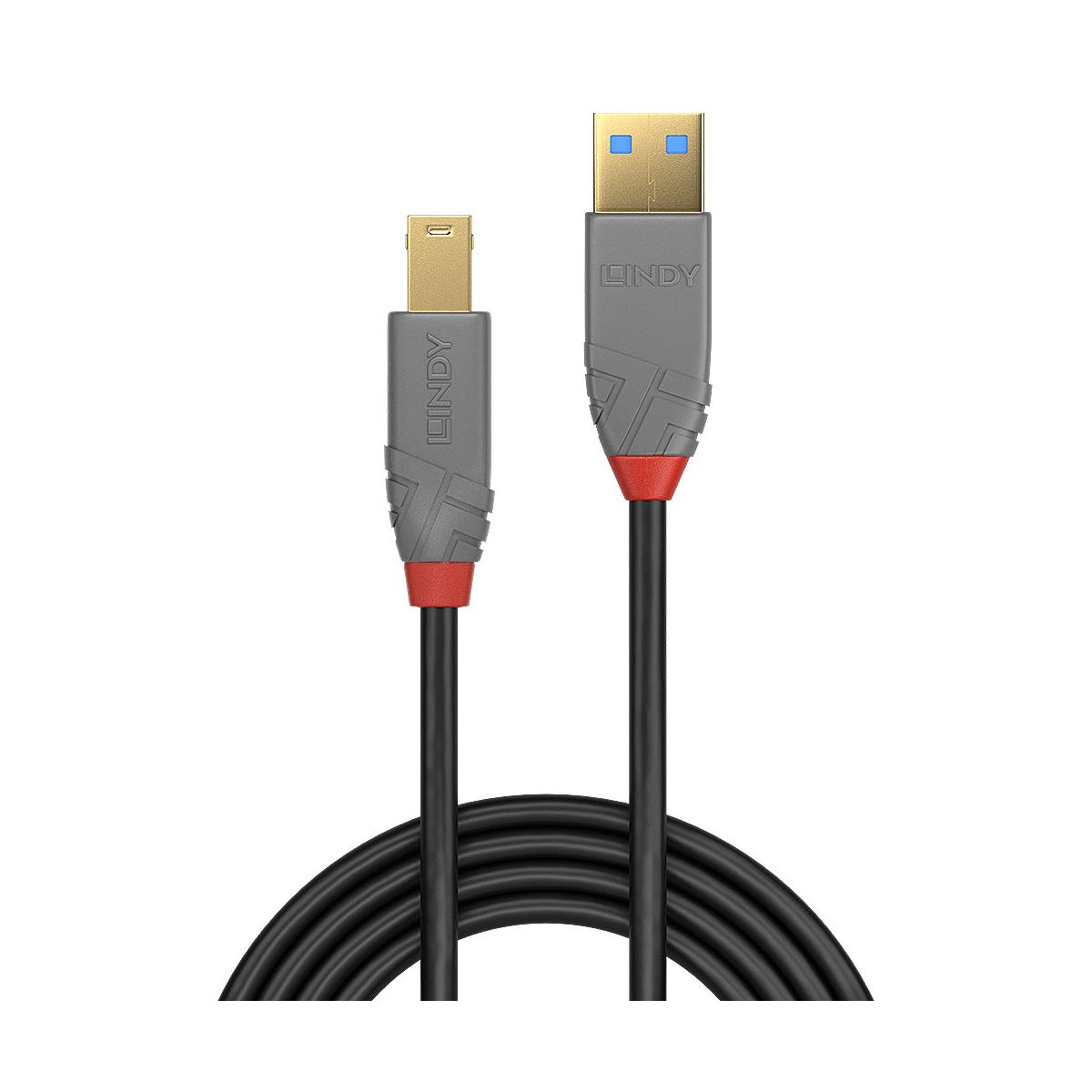Twee Lindy USB-kabels, één met USB-A en de andere met Mini USB-connector.