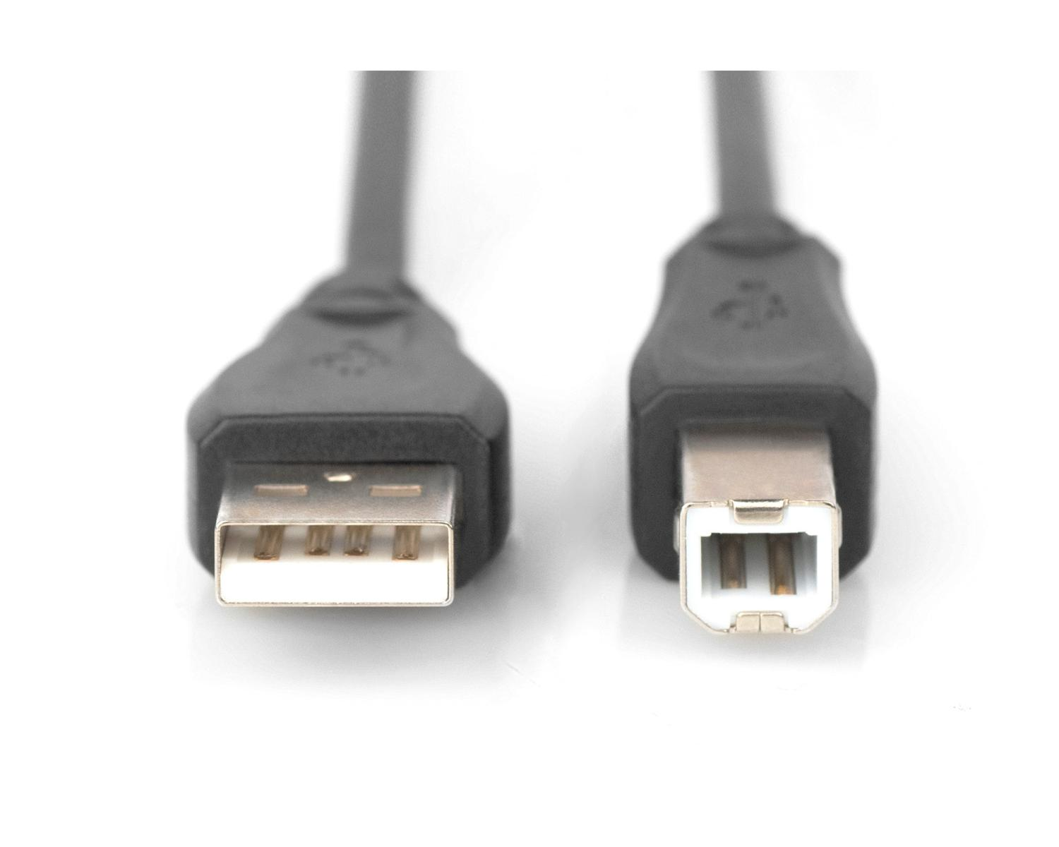 Close-up van twee USB-kabeluiteinden op witte achtergrond.